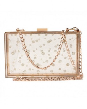 Transparent Evening Handbags Cross Body Approved