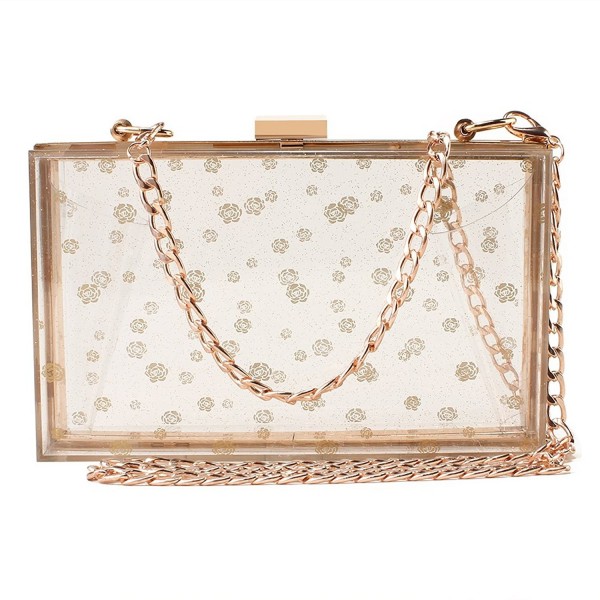 Transparent Evening Handbags Cross Body Approved